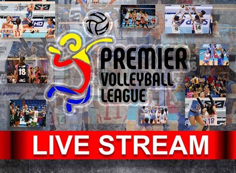pvl live streaming now